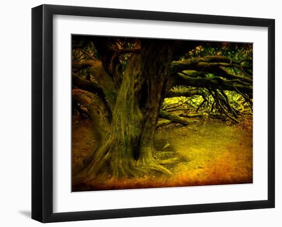 Archibald-Cristina Carra Caso-Framed Photographic Print