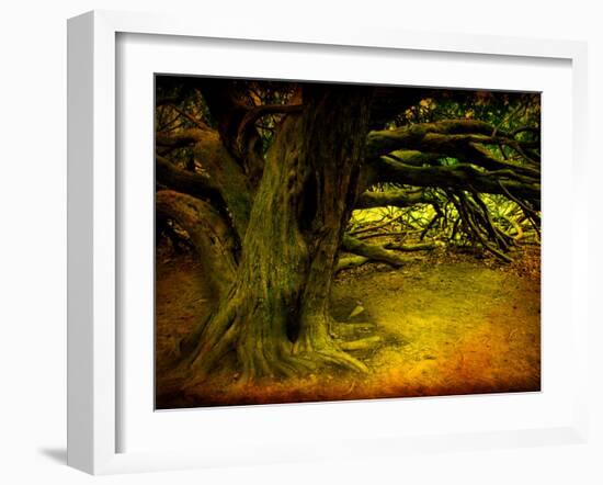 Archibald-Cristina Carra Caso-Framed Photographic Print