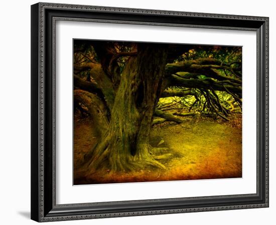 Archibald-Cristina Carra Caso-Framed Photographic Print