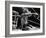 Archie Moore Knocked Out by Heavyweight Champion Rocky Marciano-null-Framed Photo