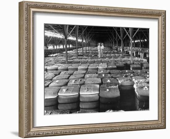 Archie Underwood and Another Man Standing on Top of Great Bales of Cotton in One of His Warehouses-Alfred Eisenstaedt-Framed Premium Photographic Print