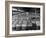 Archie Underwood and Another Man Standing on Top of Great Bales of Cotton in One of His Warehouses-Alfred Eisenstaedt-Framed Premium Photographic Print