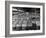 Archie Underwood and Another Man Standing on Top of Great Bales of Cotton in One of His Warehouses-Alfred Eisenstaedt-Framed Photographic Print