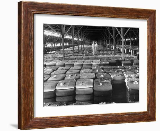 Archie Underwood and Another Man Standing on Top of Great Bales of Cotton in One of His Warehouses-Alfred Eisenstaedt-Framed Photographic Print