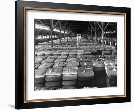 Archie Underwood and Another Man Standing on Top of Great Bales of Cotton in One of His Warehouses-Alfred Eisenstaedt-Framed Photographic Print