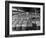 Archie Underwood and Another Man Standing on Top of Great Bales of Cotton in One of His Warehouses-Alfred Eisenstaedt-Framed Photographic Print