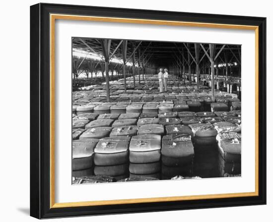 Archie Underwood and Another Man Standing on Top of Great Bales of Cotton in One of His Warehouses-Alfred Eisenstaedt-Framed Photographic Print