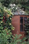Garden Shed-Archie Young-Framed Photographic Print