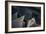 Archigraph-Mathilde Guillemot-Framed Photographic Print