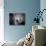 Architect Eero Saarinen at Home in His Study W. Furniture Designed by Him-null-Premium Photographic Print displayed on a wall