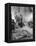 Architect Le Corbusier Working-null-Framed Premier Image Canvas