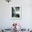 Architect Mies Van Der Rohe at Home-null-Framed Premium Photographic Print displayed on a wall