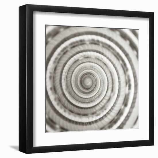 Architect Shell - Focus-Ben Wood-Framed Giclee Print