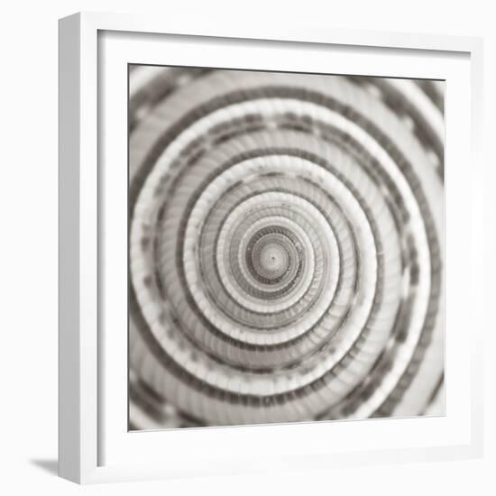 Architect Shell - Focus-Ben Wood-Framed Giclee Print