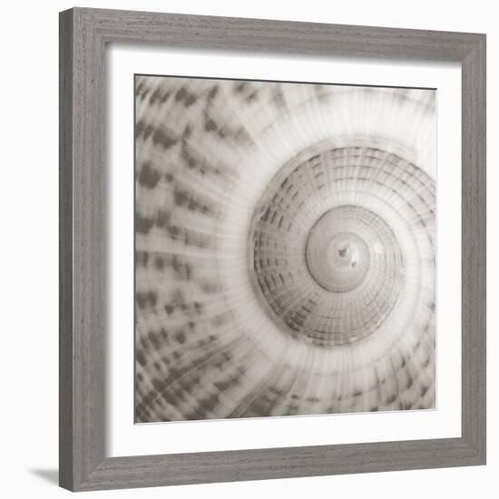 Architect Shell - Study-Ben Wood-Framed Giclee Print