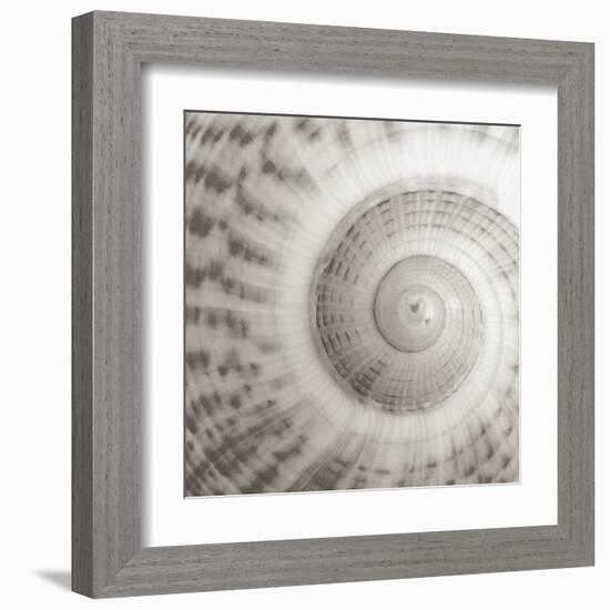 Architect Shell - Study-Ben Wood-Framed Giclee Print