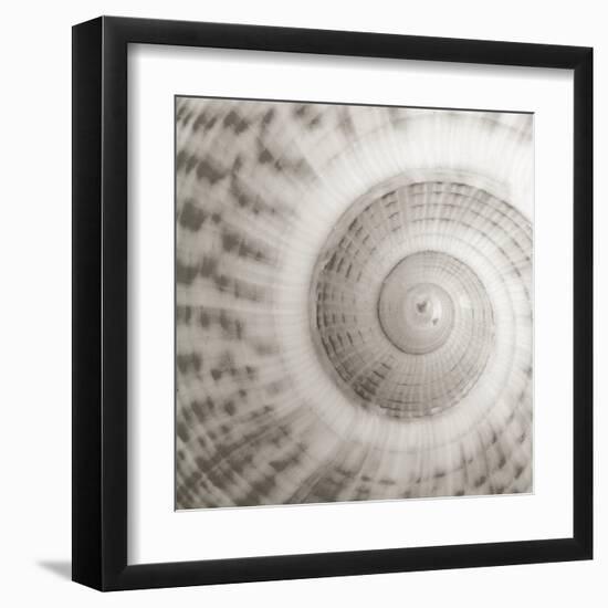 Architect Shell - Study-Ben Wood-Framed Giclee Print