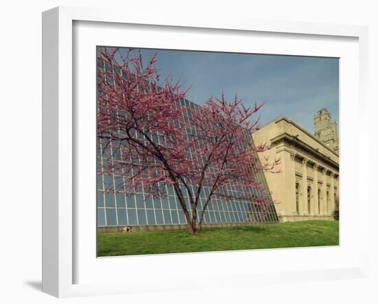 Architectural Contrast at the Metropolitan Museum, Manhattan, New York City, USA-Woolfitt Adam-Framed Photographic Print