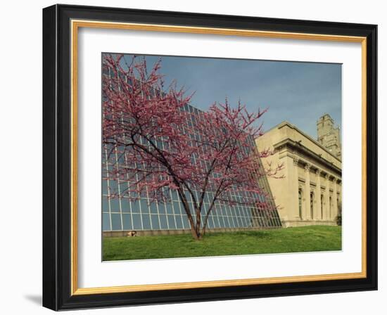 Architectural Contrast at the Metropolitan Museum, Manhattan, New York City, USA-Woolfitt Adam-Framed Photographic Print