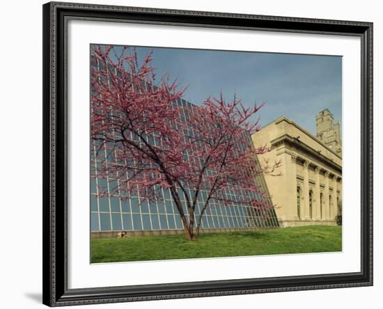 Architectural Contrast at the Metropolitan Museum, Manhattan, New York City, USA-Woolfitt Adam-Framed Photographic Print