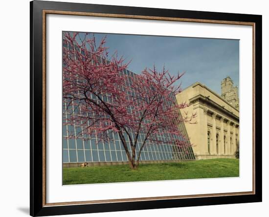 Architectural Contrast at the Metropolitan Museum, Manhattan, New York City, USA-Woolfitt Adam-Framed Photographic Print