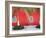 Architectural Detail in Costa Maya Port, Quintana Roo, Mexico, North America-Richard Cummins-Framed Photographic Print