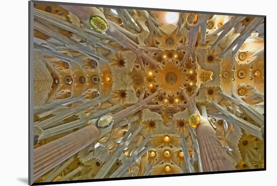 Architectural detail of Sagrada Familia ceiling, Barcelona, Catalonia, Spain-null-Mounted Photographic Print