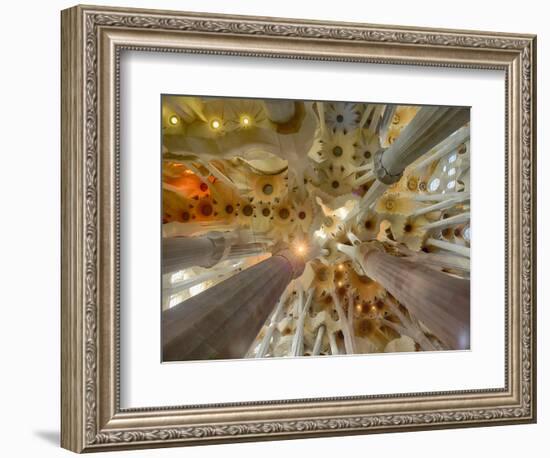 Architectural detail of Sagrada Familia ceiling, Barcelona, Catalonia, Spain-null-Framed Photographic Print