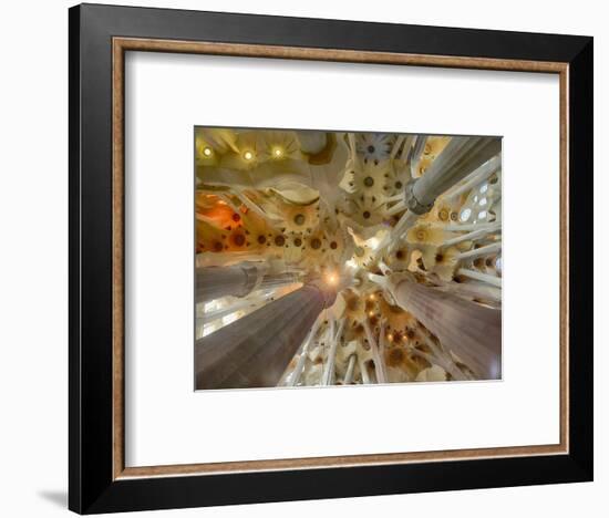 Architectural detail of Sagrada Familia ceiling, Barcelona, Catalonia, Spain-null-Framed Photographic Print