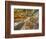 Architectural detail of Sagrada Familia ceiling, Barcelona, Catalonia, Spain-null-Framed Photographic Print