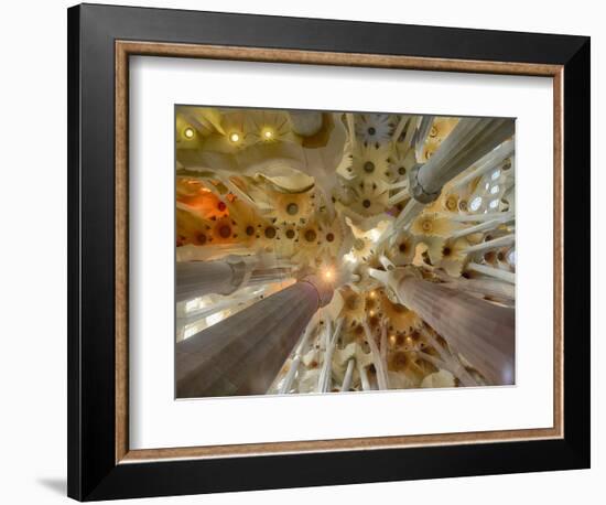 Architectural detail of Sagrada Familia ceiling, Barcelona, Catalonia, Spain-null-Framed Photographic Print