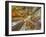 Architectural detail of Sagrada Familia ceiling, Barcelona, Catalonia, Spain-null-Framed Photographic Print