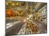 Architectural detail of Sagrada Familia ceiling, Barcelona, Catalonia, Spain-null-Mounted Photographic Print