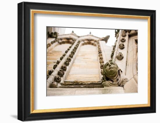 Architectural Detail, Oxford, Oxfordshire, England, United Kingdom, Europe-John Alexander-Framed Photographic Print