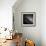 Architectural Detail-Edoardo Pasero-Framed Photographic Print displayed on a wall