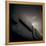 Architectural Detail-Edoardo Pasero-Framed Premier Image Canvas