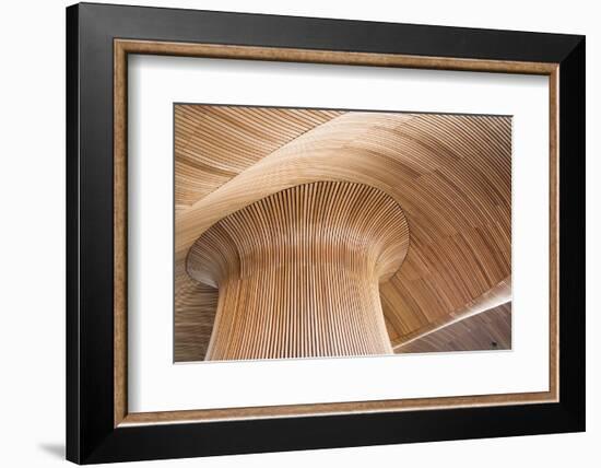 Architectural Details of Welsh Assembly Building, Cardiff Bay, Uk.-DaiPhoto-Framed Photographic Print