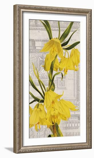 Architectural Flower I-Maria Mendez-Framed Giclee Print