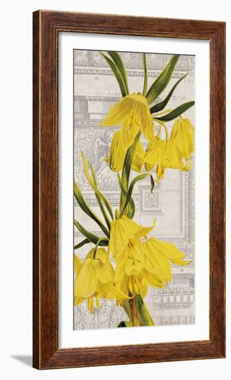 Architectural Flower I-Maria Mendez-Framed Giclee Print