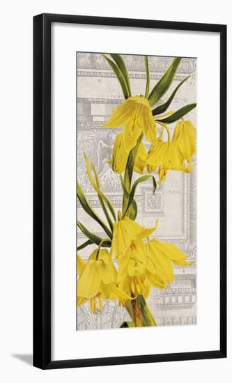 Architectural Flower I-Maria Mendez-Framed Giclee Print