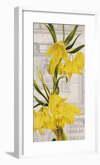 Architectural Flower I-Maria Mendez-Framed Giclee Print