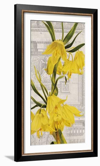 Architectural Flower I-Maria Mendez-Framed Giclee Print