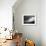 Architectural Study of Rigid Lines-Edoardo Pasero-Framed Photographic Print displayed on a wall