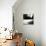 Architectural Study-Edoardo Pasero-Mounted Photographic Print displayed on a wall