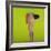 Architecture 20-Daniel Cacouault-Framed Giclee Print