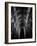 Architecture 3-Design Fabrikken-Framed Photographic Print