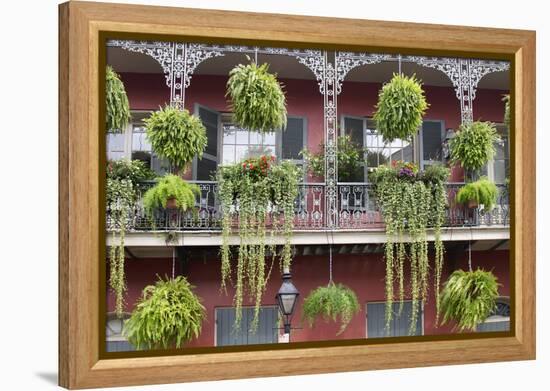 Architecture, French Quarter, New Orleans, Louisiana, USA-Jamie & Judy Wild-Framed Premier Image Canvas