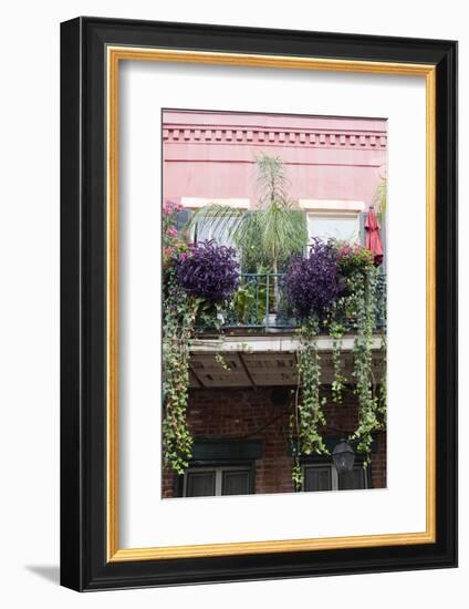 Architecture, French Quarter, New Orleans, Louisiana, USA-Jamie & Judy Wild-Framed Photographic Print