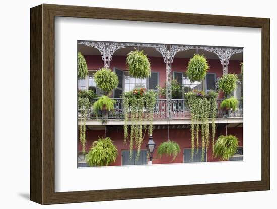 Architecture, French Quarter, New Orleans, Louisiana, USA-Jamie & Judy Wild-Framed Photographic Print