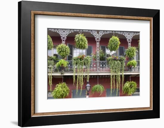 Architecture, French Quarter, New Orleans, Louisiana, USA-Jamie & Judy Wild-Framed Photographic Print